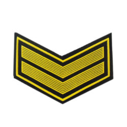 Курсовка 2 курс (пластизоль)