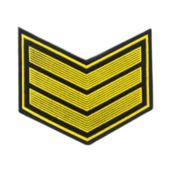 Курсовка 3 курс (пластизоль)