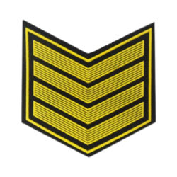 Курсовка 4 курс (пластизоль)