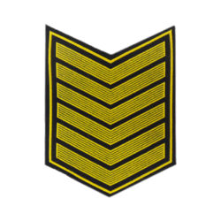 Курсовка 6 курс (пластизоль)